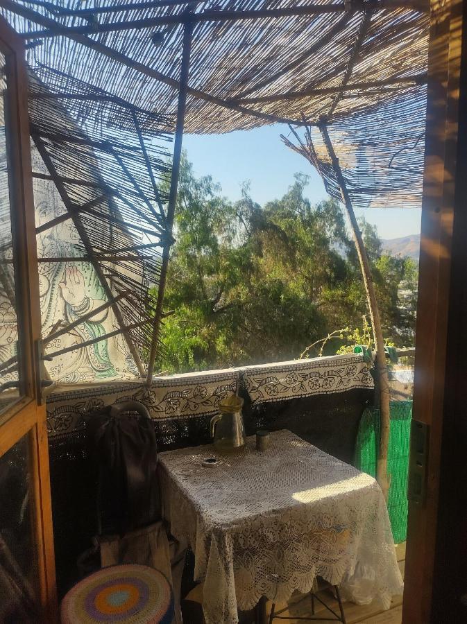 Nuevovalpo Hillside Homestay Santiago de Chile Eksteriør billede